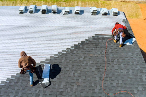 Roof Gutter Cleaning in Deer Park, IL